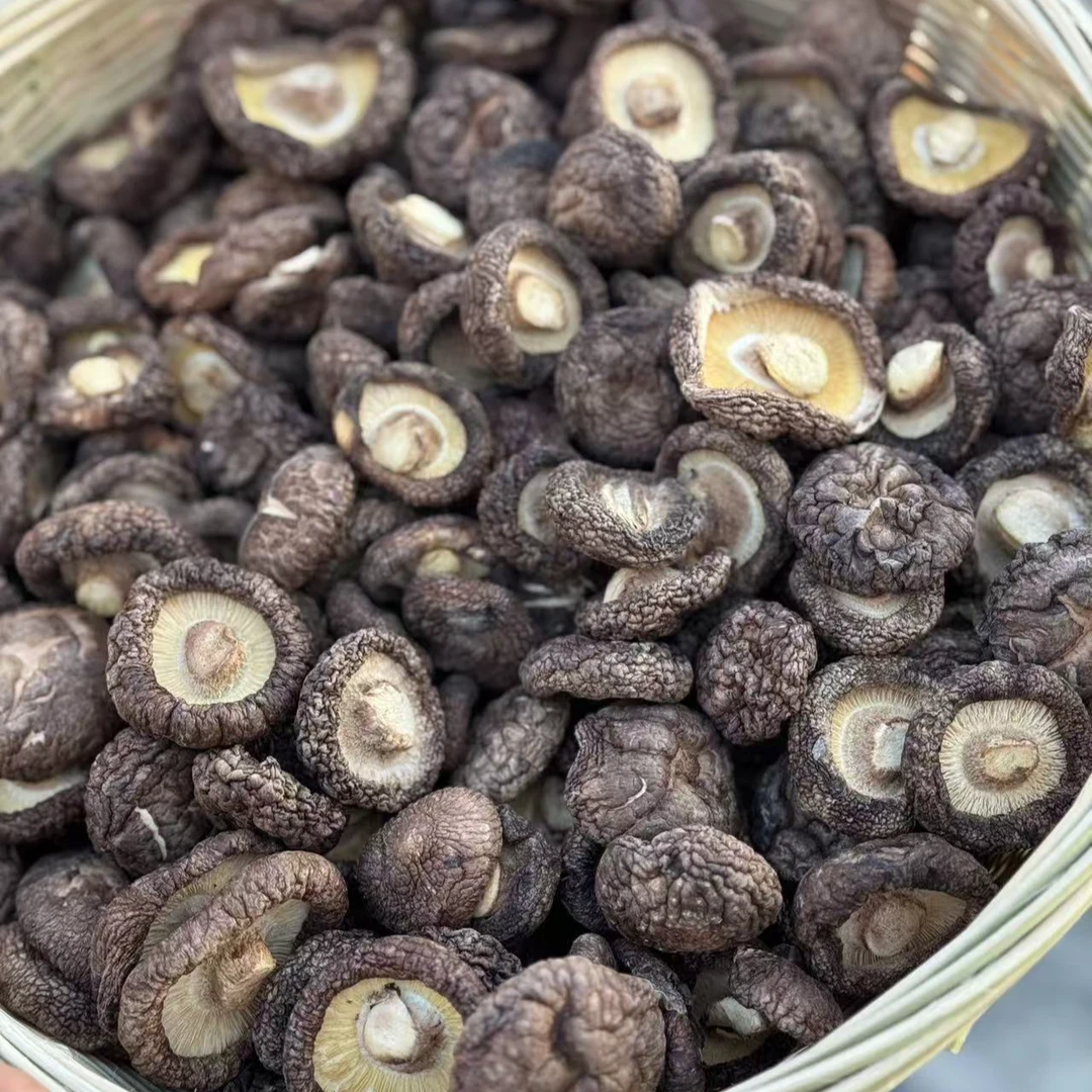湖北好鄂高山干香菇，易保存，放心囤！平价好香菇，品质有保障