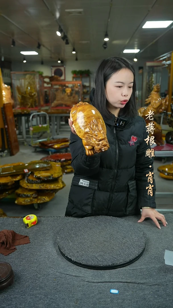 【闪购商品】四川小叶金丝楠龙龟