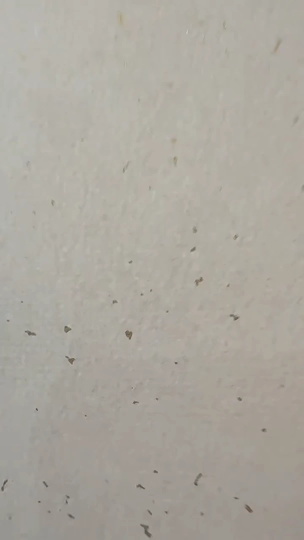 国画王炳杰手绘绘画作品14-6