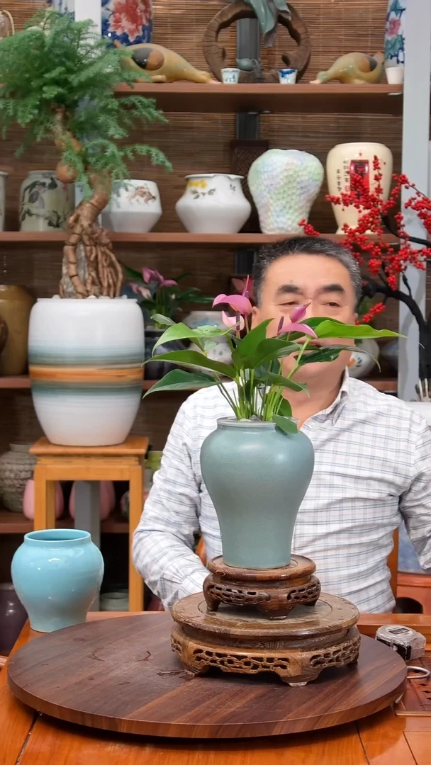 无花朵多****2水之韵水培齐祖