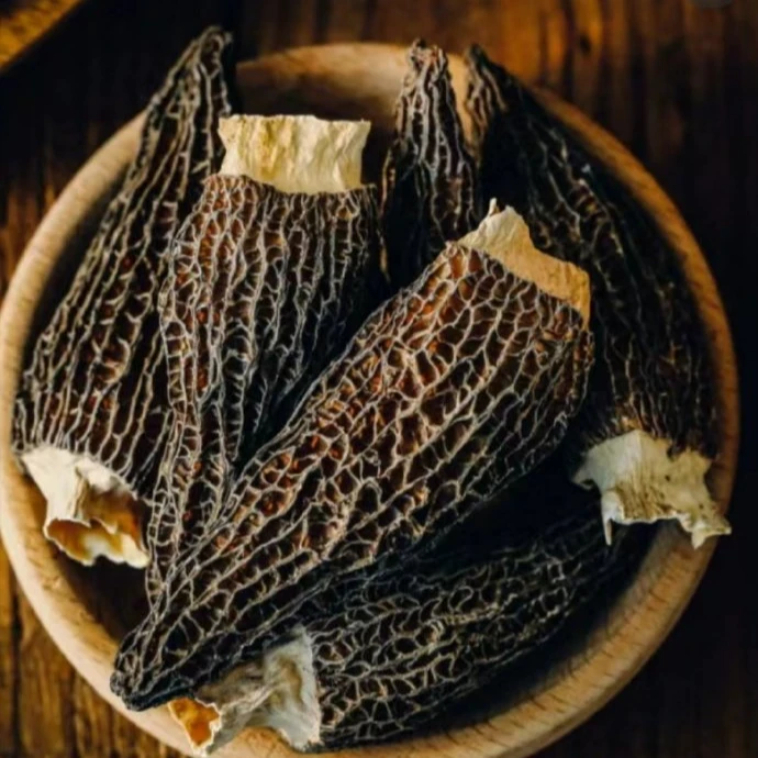 【小张精选】头茬羊肚菌干货