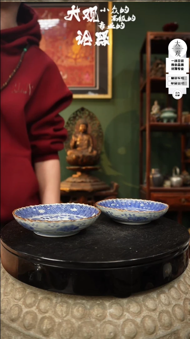 【闪购商品】瓷片大观论器两只