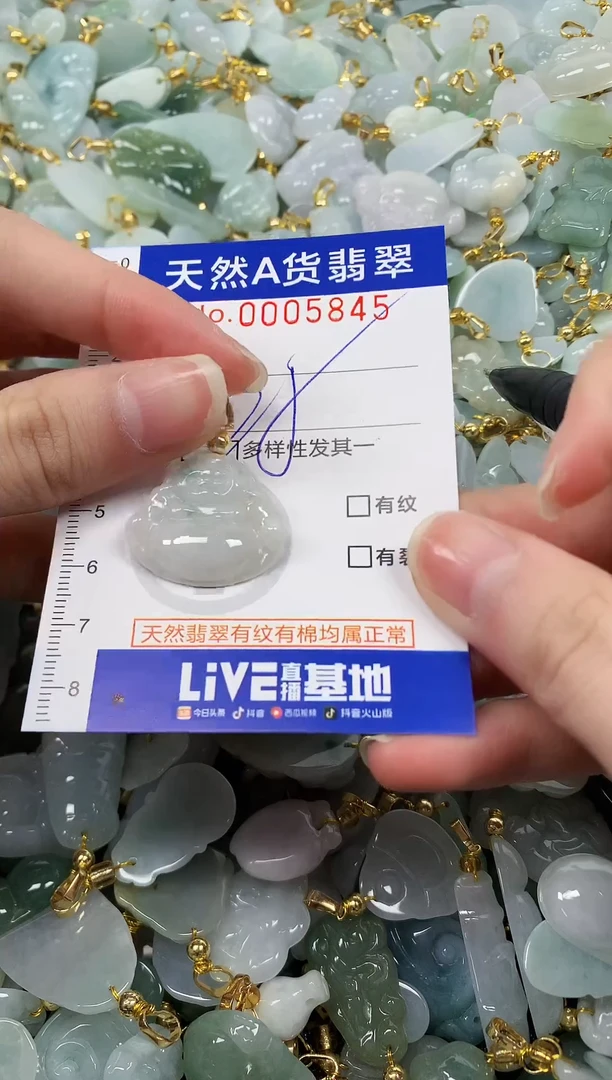 颈饰未镶嵌翡翠纯天然a货翡翠