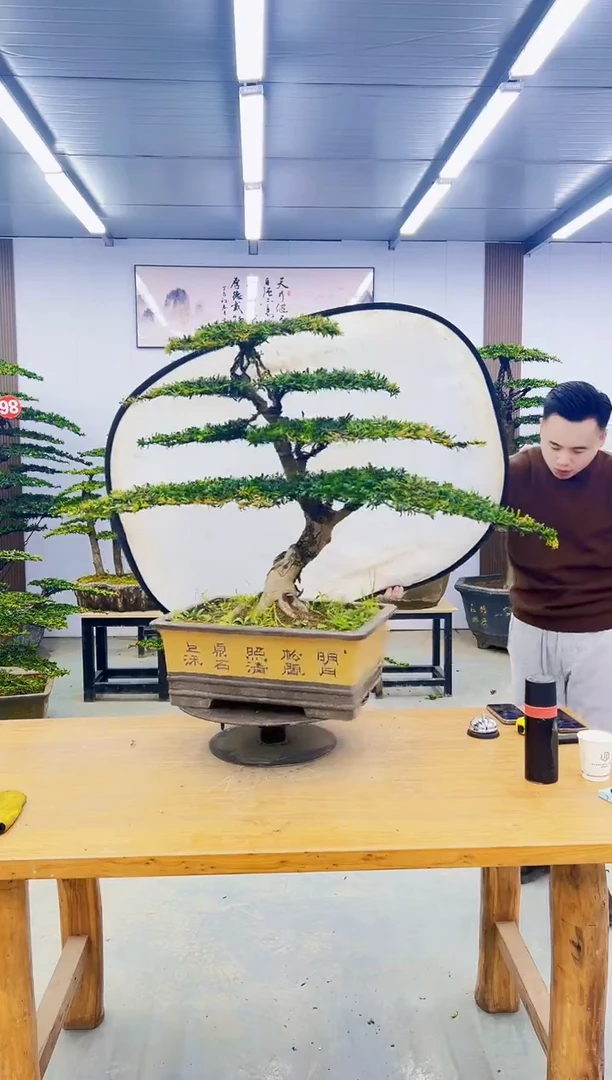 无花朵0000000000000000