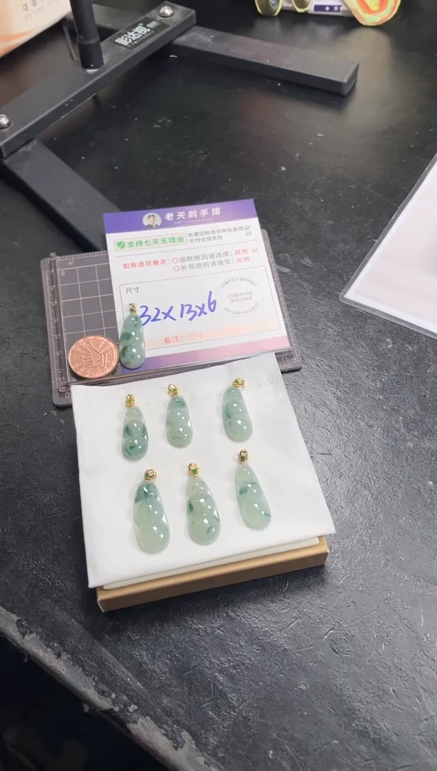 18K金镶嵌挂件翡翠豆子F11配绳/多样性发其一ZBCP