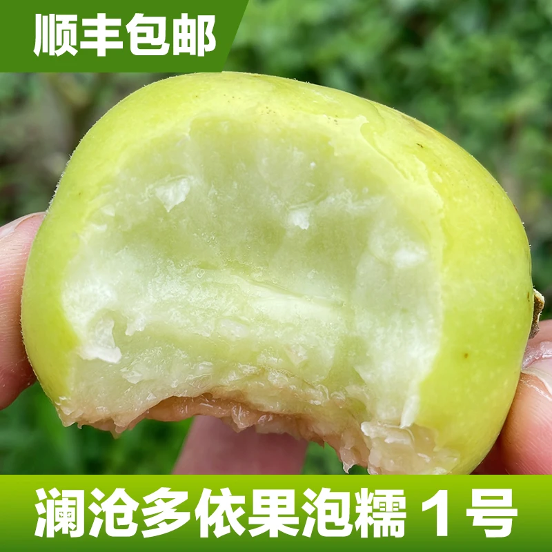 云南 普洱 农产品澜沧糯扎渡嫁接多依2斤送辣子多依果特产