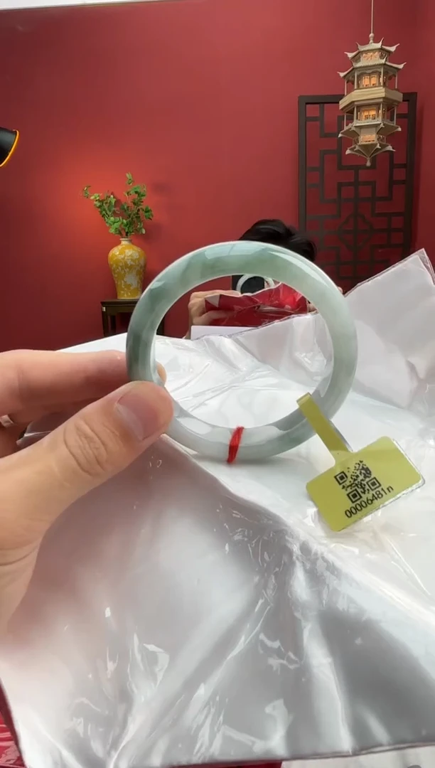 未镶嵌手镯翡翠翡翠手镯9