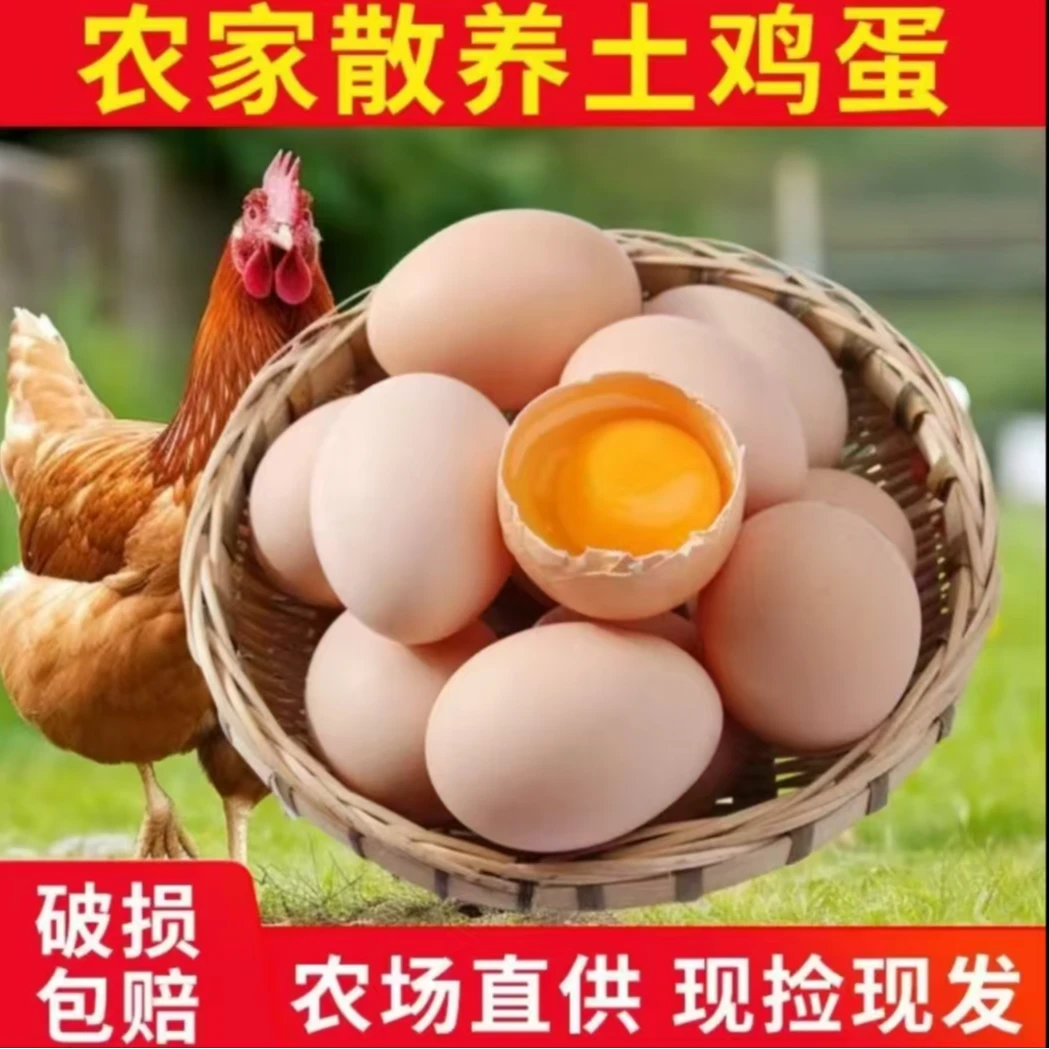 DZ【50枚】农家散养土鸡蛋散养散放新鲜土鸡蛋粉壳现捡现发40-50克
