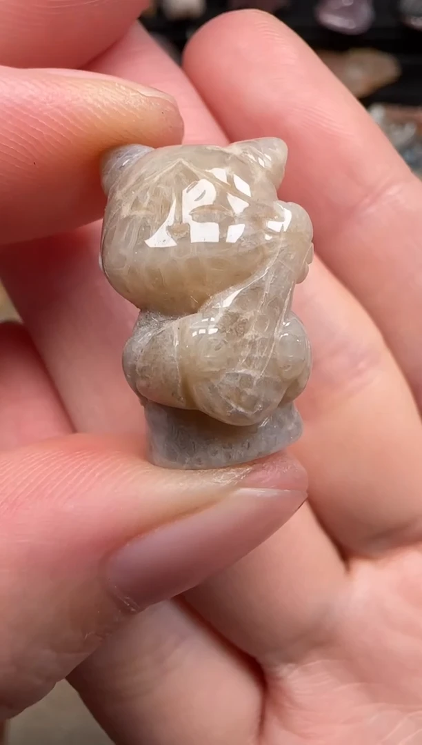 硅化珊瑚（珊瑚玉）未镶嵌颈饰330