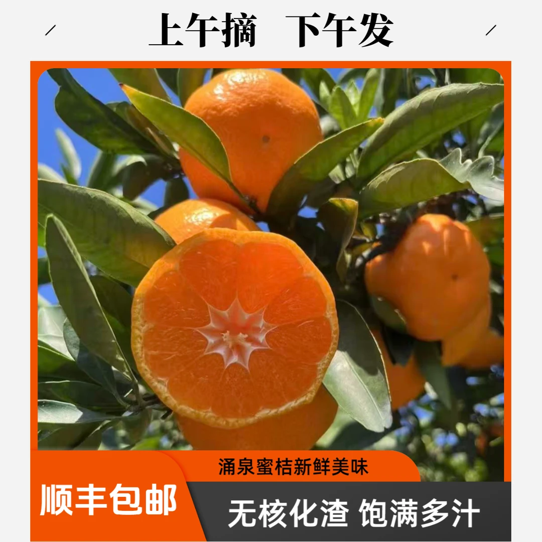 浙江正宗临海涌泉高山蜜桔橘子无核化渣新鲜水果颗粒装顺丰包邮