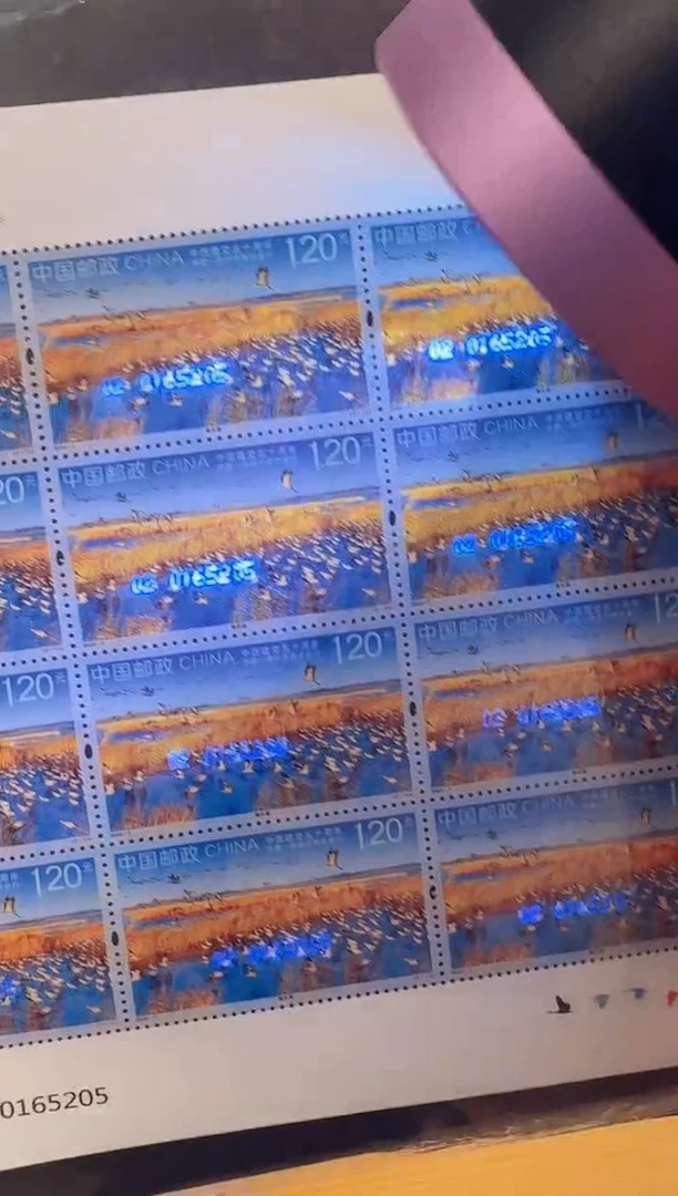 中西建交五十周年大版