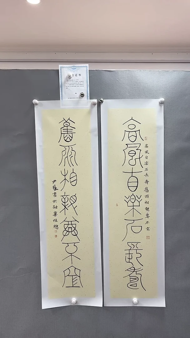 【闪购商品】书法雅艺典藏文化书法