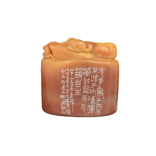 篆刻杨涛X50792光华敛于内（20）