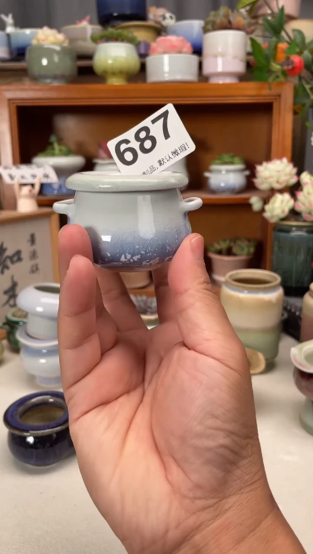 瓷片小*?687知木花盆小芳