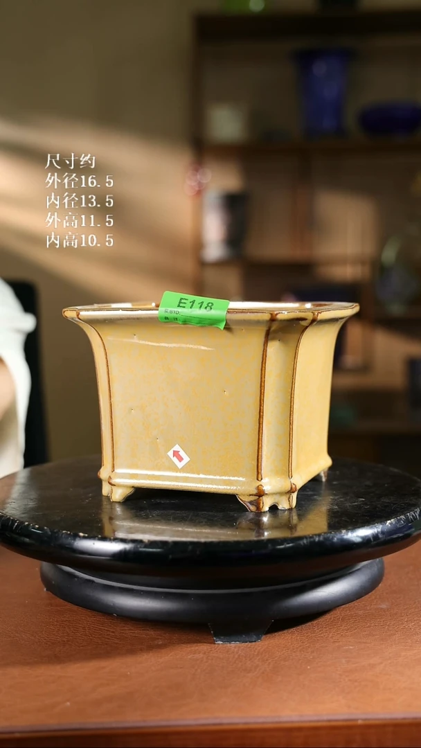 118        6寸倭角兰盆