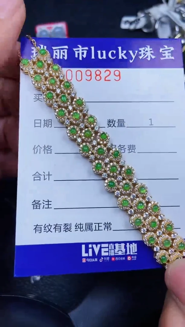 翡翠银S925镶嵌颈饰9829
