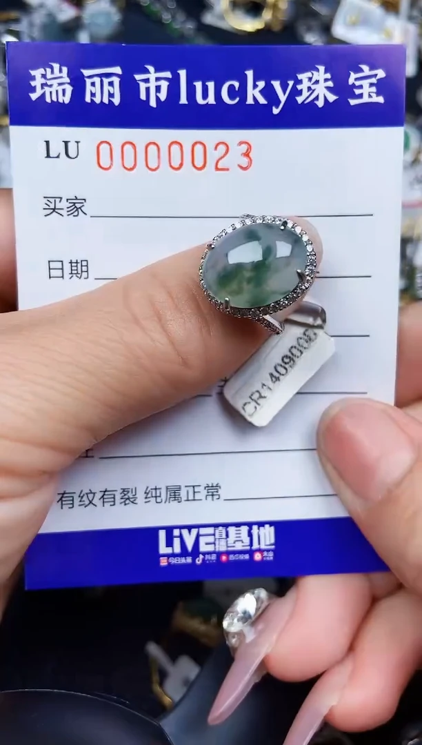 翡翠银S925镶嵌颈饰0023