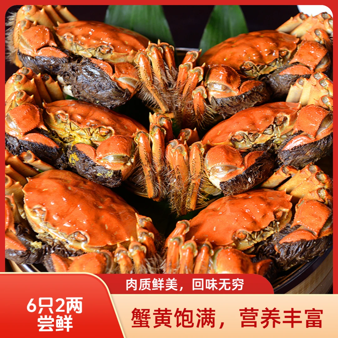 【配送到家】1.5两-1.8两母（螃蟹净重）6只尝鲜，兴化大闸蟹鲜活蟹，现拍现发