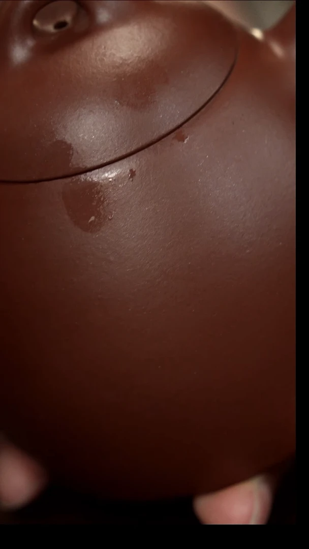 茶壶紫砂金*紫砂壶1111111111111