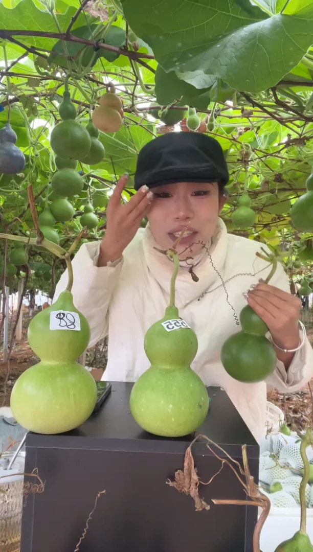 天***播555天然葫芦摆件 一物一拍龙头不保售后两个