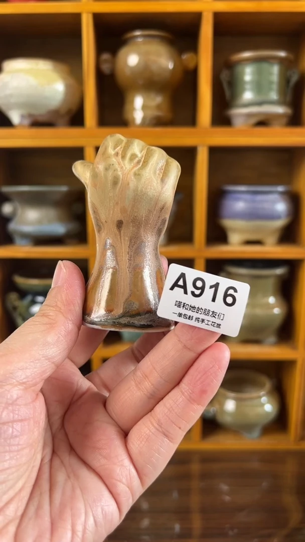 l**o916【多肉花盆多肉盆】