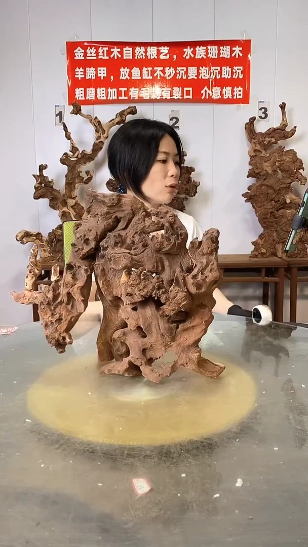 香榧木金丝红木  羊蹄甲