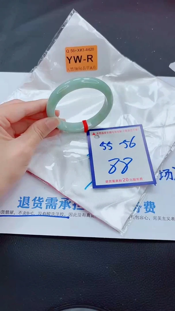 未镶嵌手镯翡翠11111111