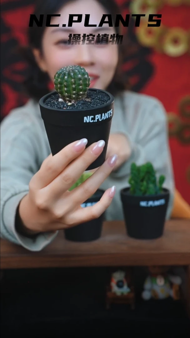 【闪购商品】螺旋丸