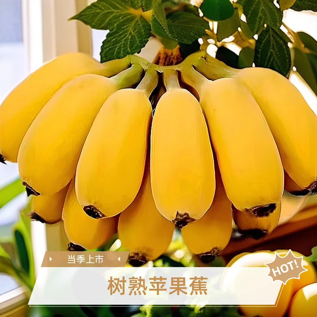 团购批发水果自然熟正宗苹果蕉当季苹果粉蕉粉糯香甜香蕉新鲜现摘