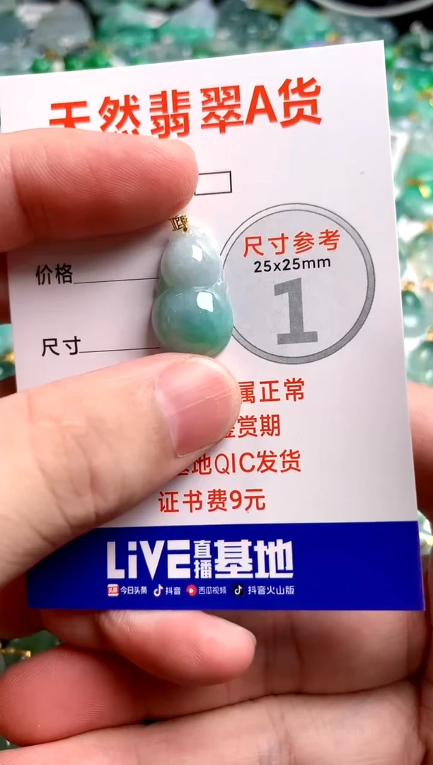 翡翠18K金镶嵌颈饰14007504