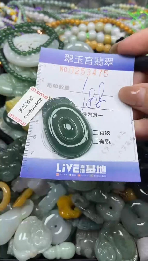 颈饰未镶嵌翡翠闪购C0253475