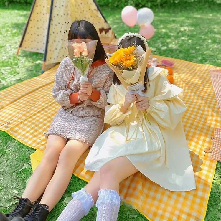 野餐垫防潮垫加厚户外帐篷露营地垫便携春游野炊野外草坪防水垫子