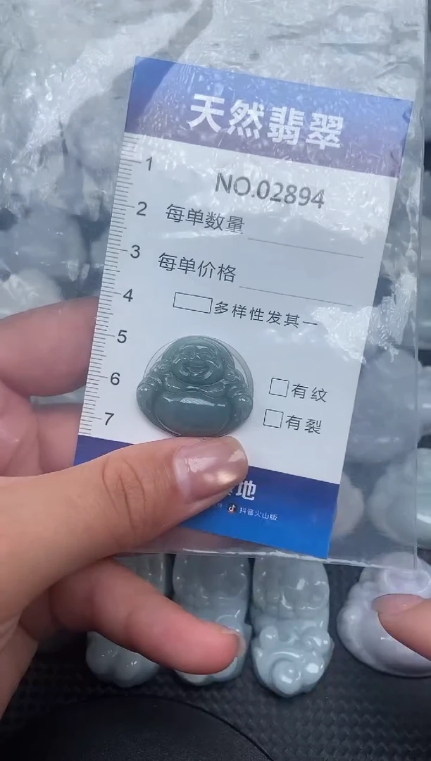 颈饰未镶嵌翡翠纯天然A货翡翠2894