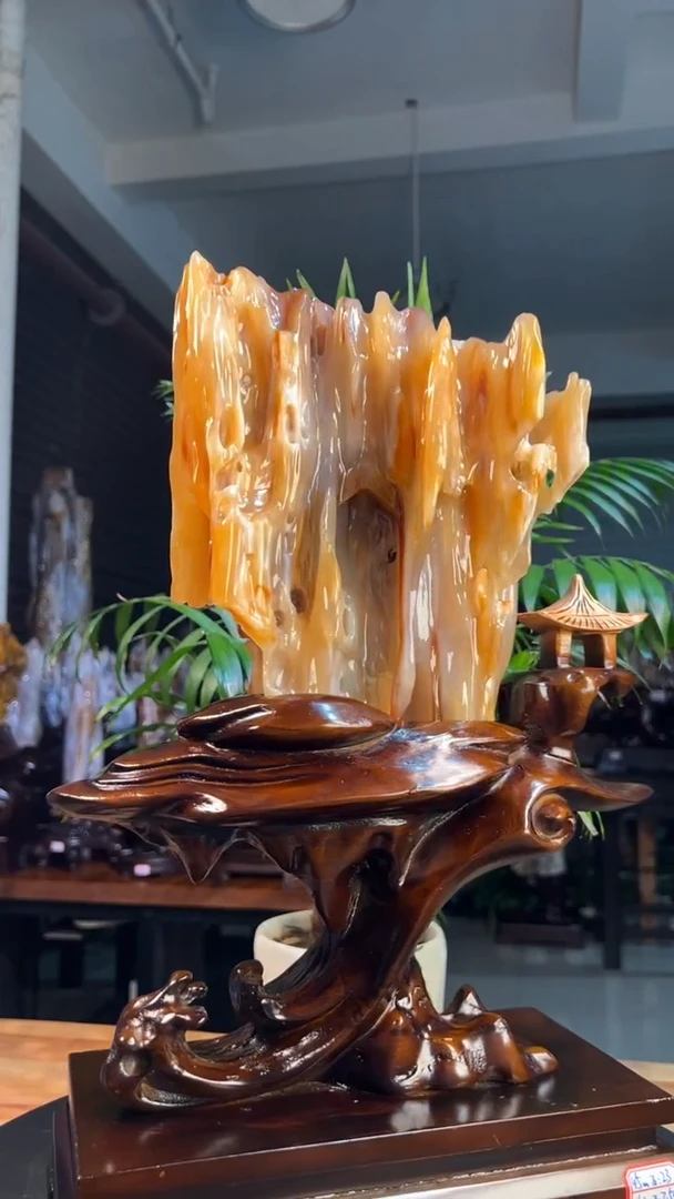 未镶嵌硅化玉（树化玉）珠宝奇石1869（高度45厘米）