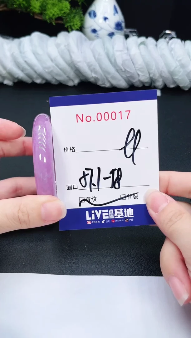 未镶嵌手镯翡翠17
