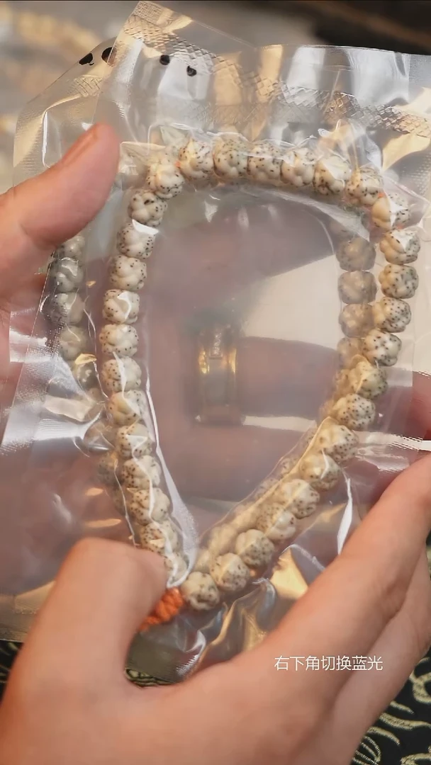 手串星月菩提#888110033