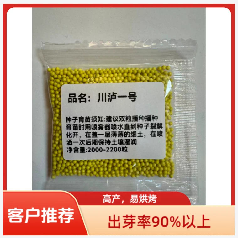 川泸一号包衣颗粒丸适用于云贵川等地高产抗病