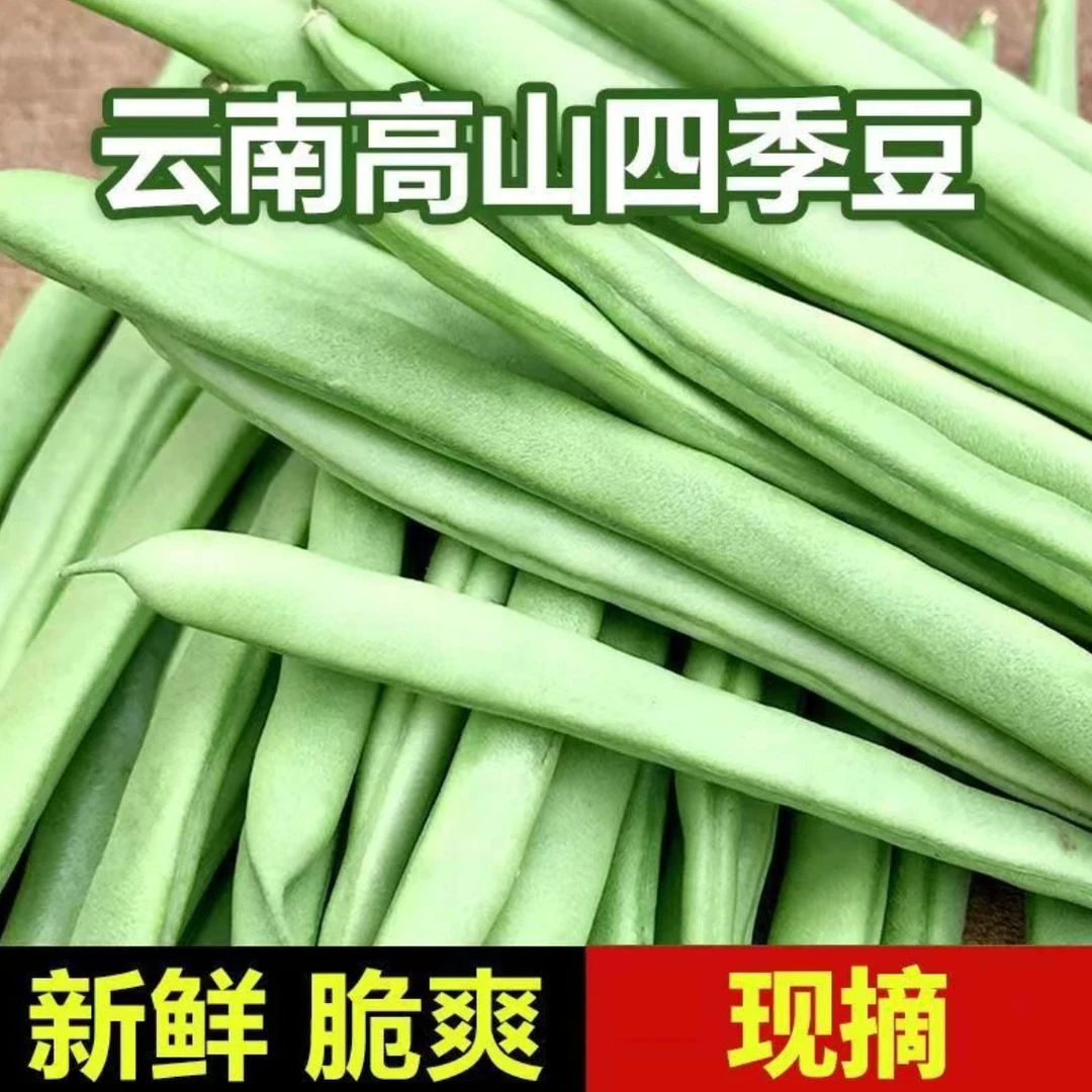 【高山头茬四季豆3斤】云南新鲜采摘【四季豆】芸豆蔬菜无筋豆长豆