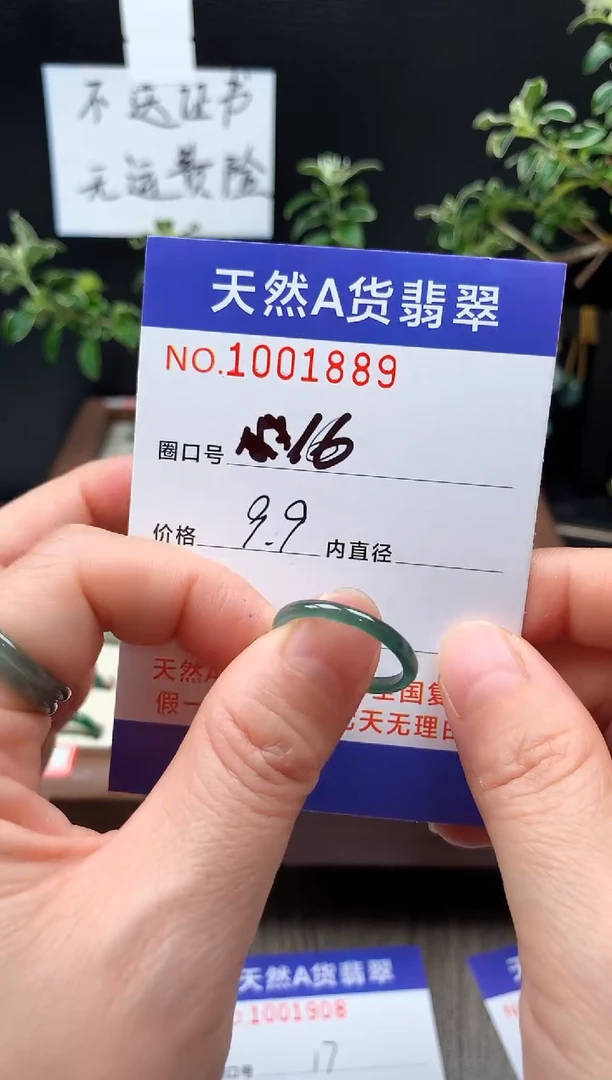 未镶嵌戒指翡翠16#