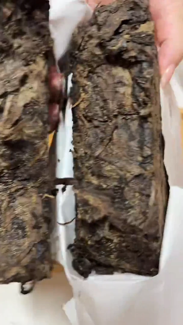 高马二溪/茯南 茯砖茶950g【2009年】