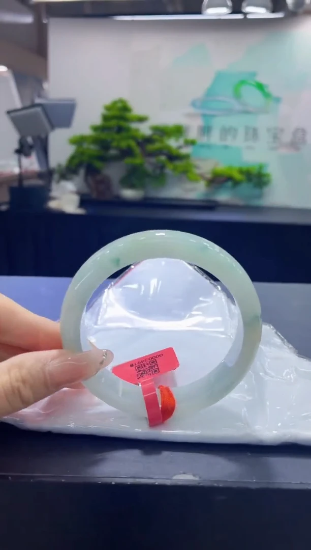 未镶嵌手镯翡翠13