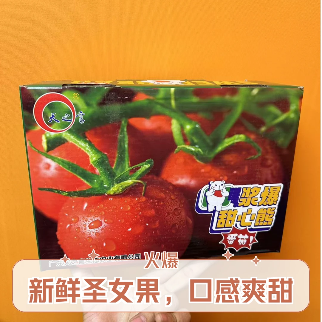 浆爆甜心熊小番茄番茄同城配