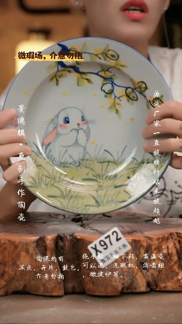 其他WX972新十二器