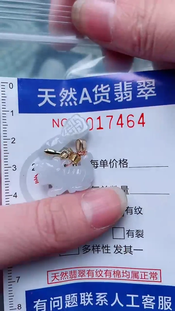 翡翠未镶嵌吊坠(不含链)1