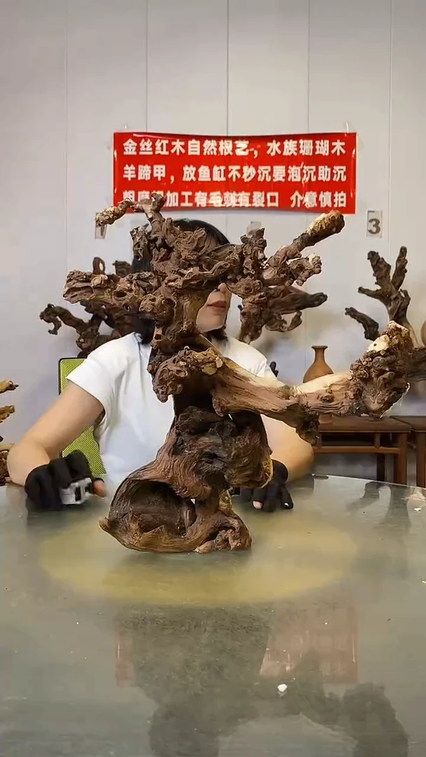 香榧木胡****)金丝红木   羊蹄甲