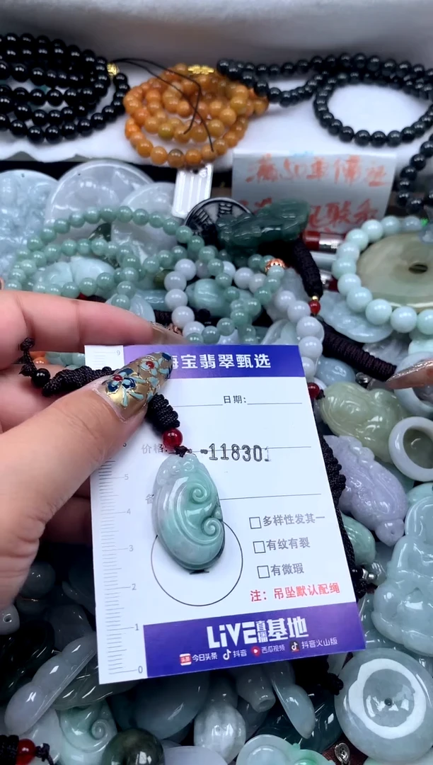 颈饰未镶嵌翡翠1福利不退换，微瑕介意勿拍！