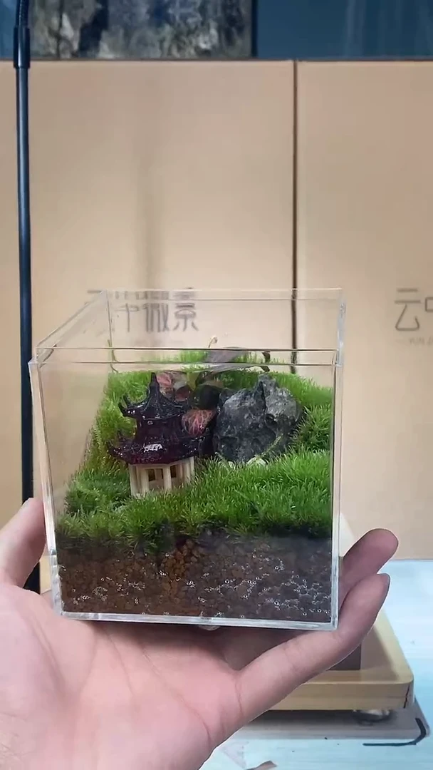 【闪购商品】孤品亚克力小方盒亭子款
