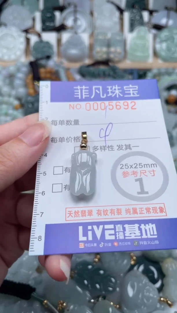 翡翠未镶嵌颈饰00..5692