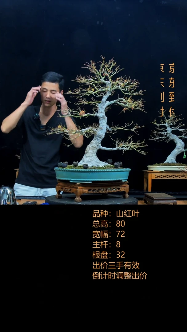 西***停00000000000000