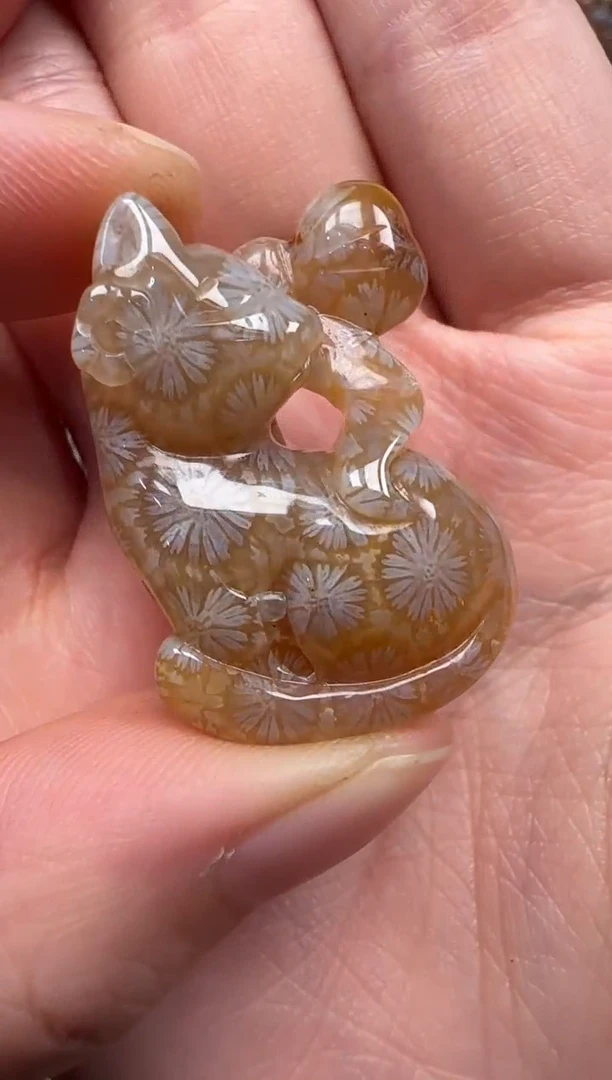 硅化珊瑚（珊瑚玉）未镶嵌颈饰721
